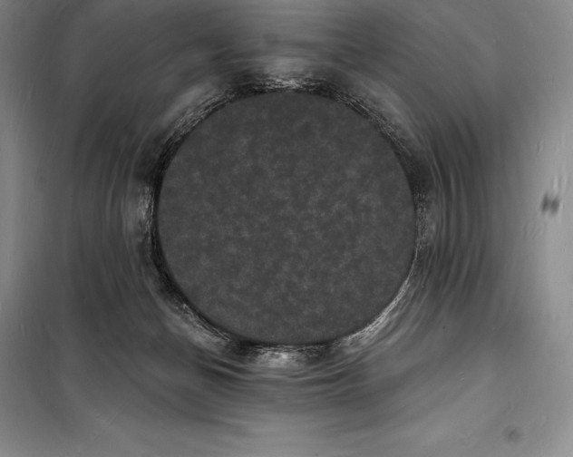 X0000098230174200805151349