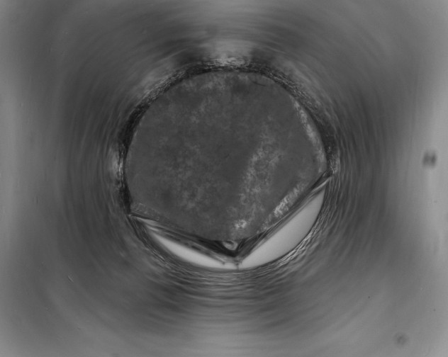 X0000098230176200805151350