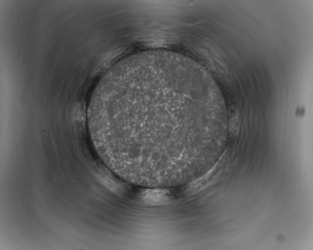 X0000098230179200805151350