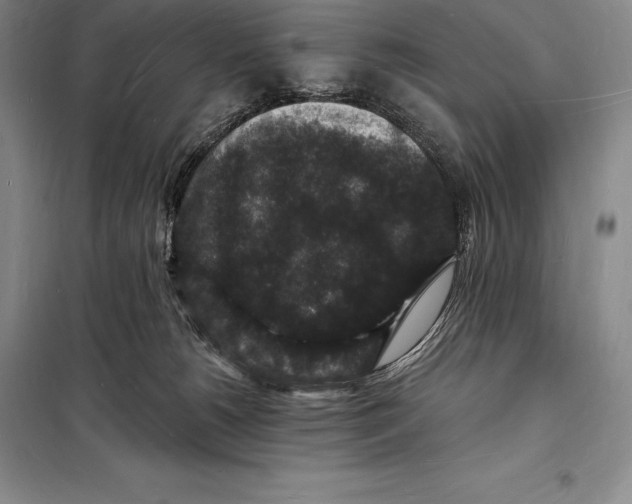 X0000098230180200805151350