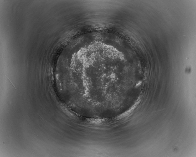 X0000098230182200805151350