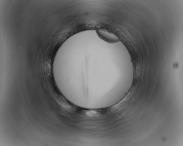 X0000098230183200805151350