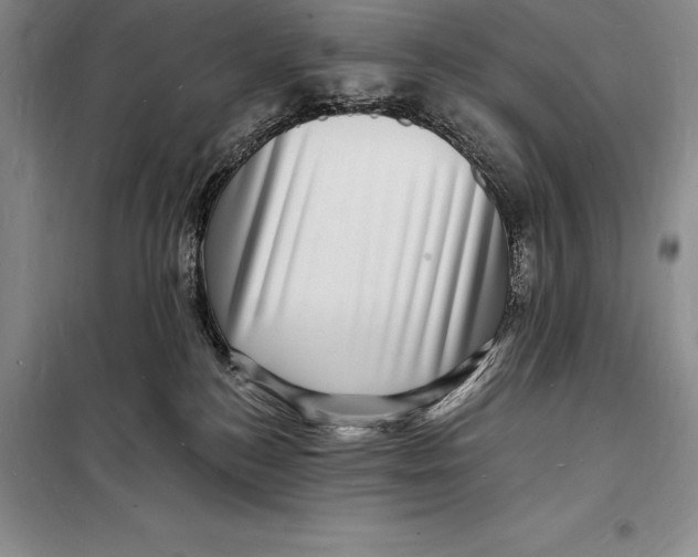 X0000098230184200805151350