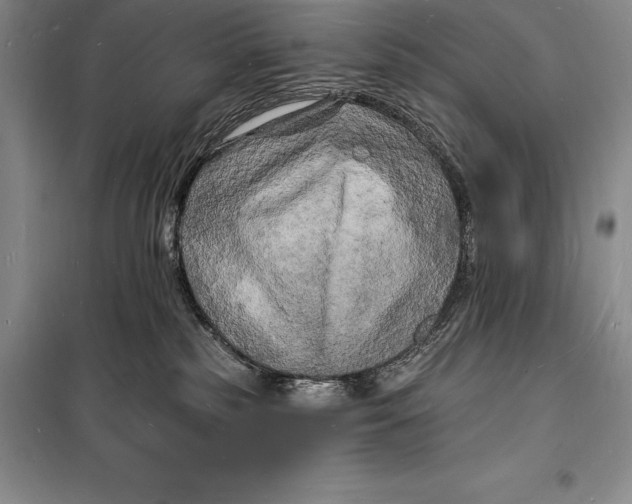 X0000098230185200805151350