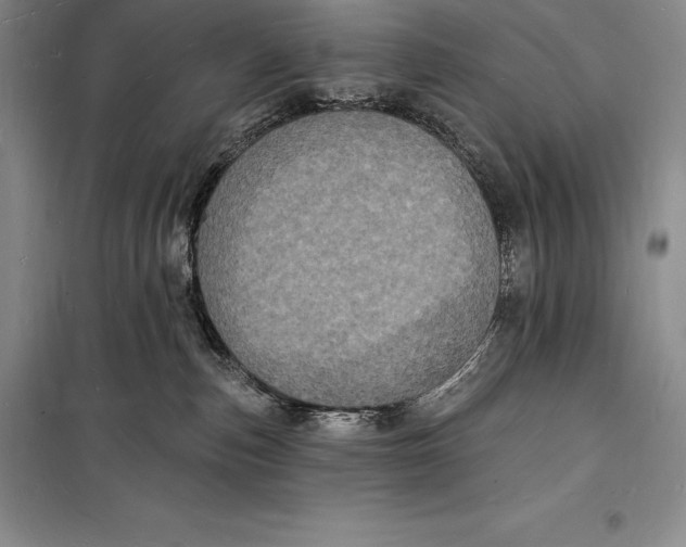 X0000098230187200805151350