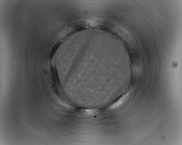 X0000098230188200805151350