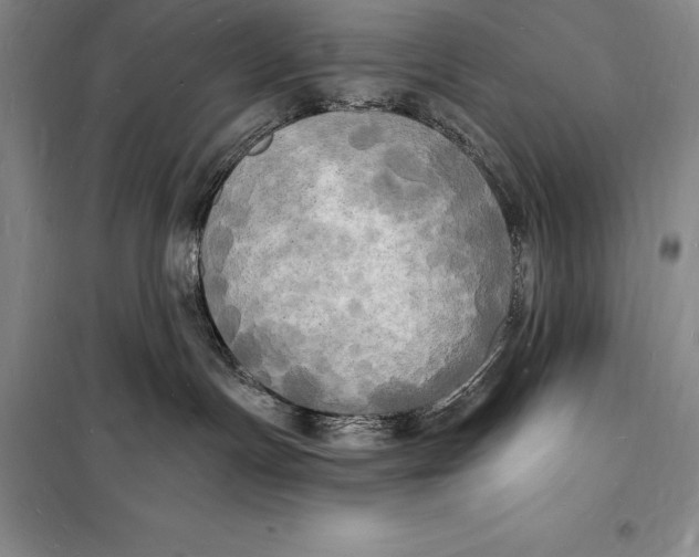 X0000098230191200805151350