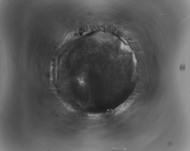 X0000098230192200805151350