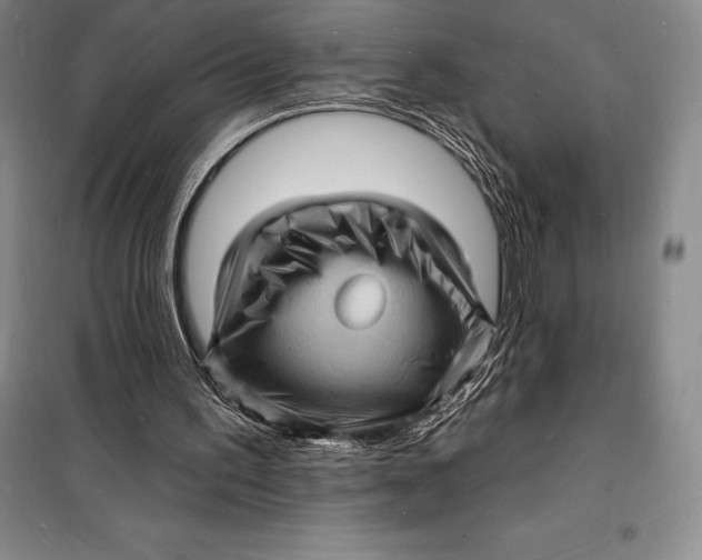 X0000098230195200805151349