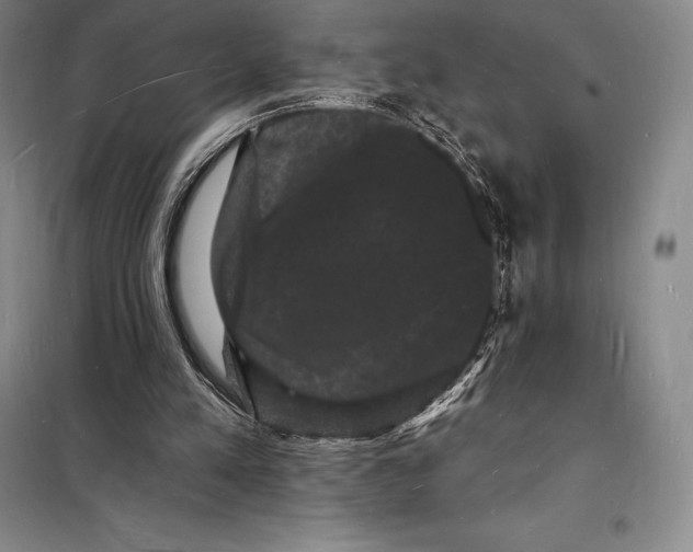 X0000098230197200805151349