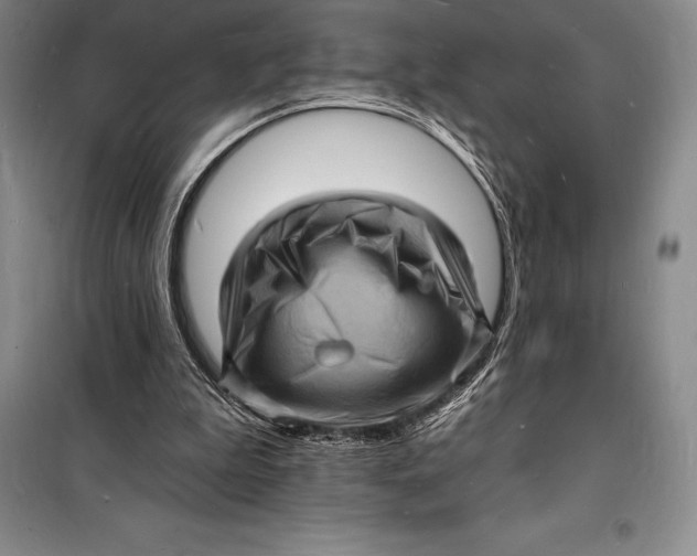 X0000098230199200805151349