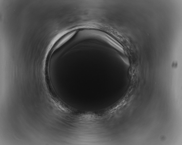 X0000098230200200805151349