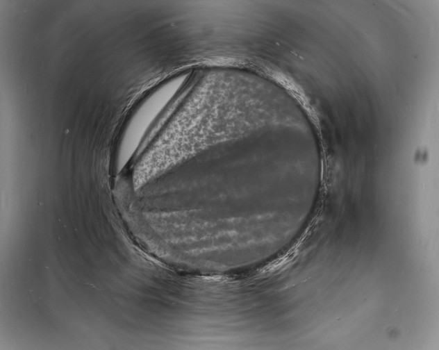 X0000098230201200805151349