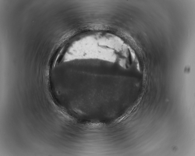 X0000098230202200805151349