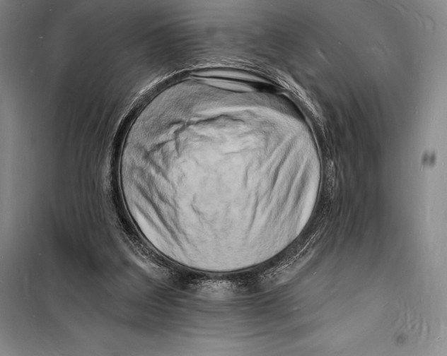 X0000098230203200805151349