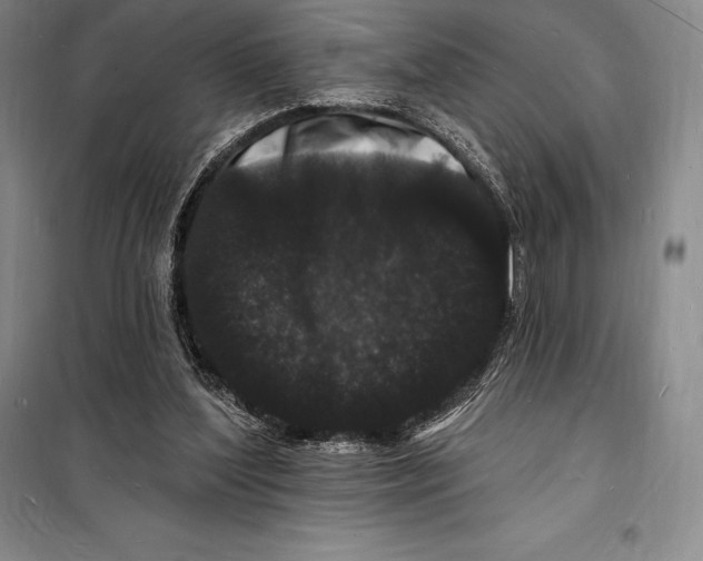 X0000098230204200805151349