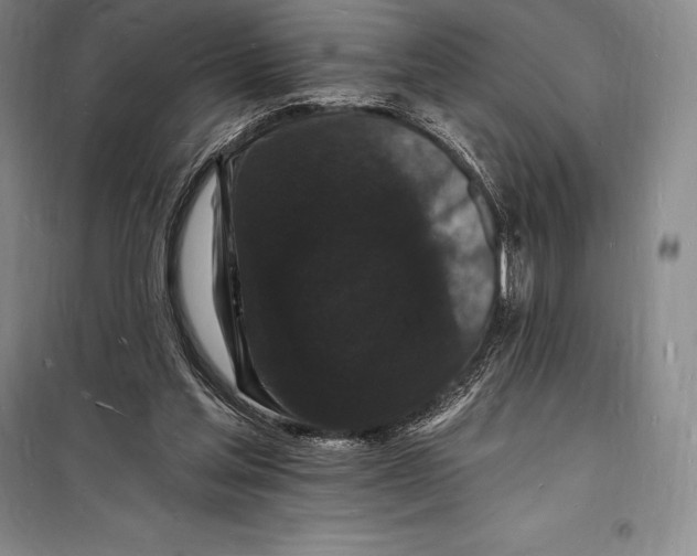 X0000098230205200805151349