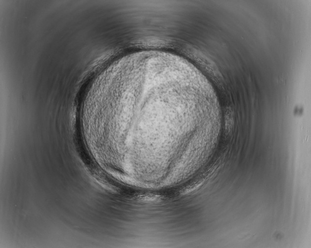 X0000098230206200805151349