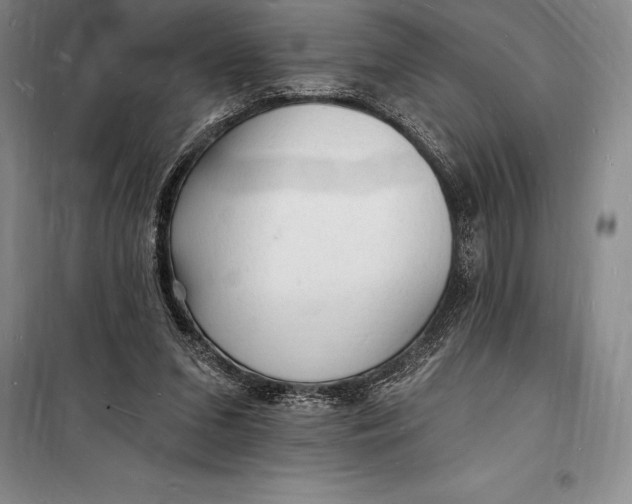 X0000098230207200805151349