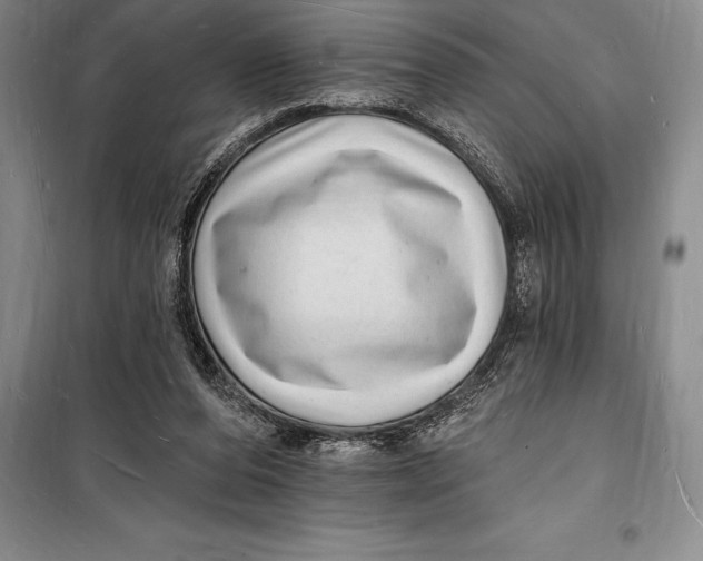 X0000098230208200805151349