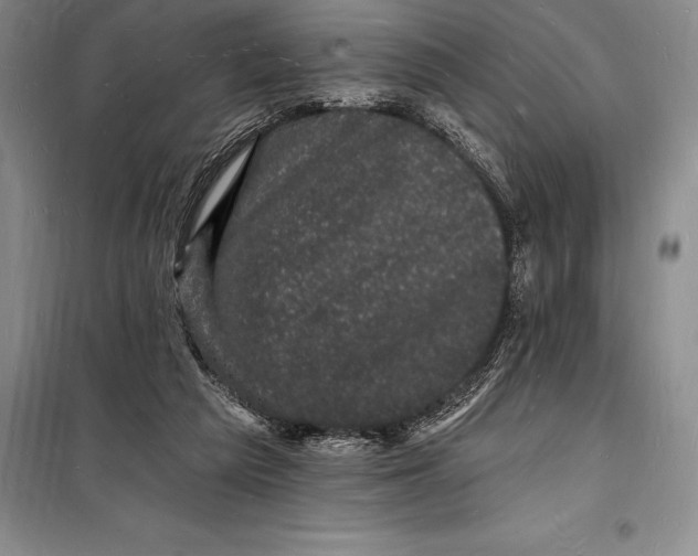 X0000098230209200805151349