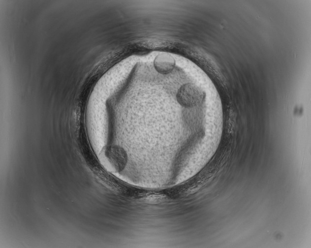 X0000098230210200805151349