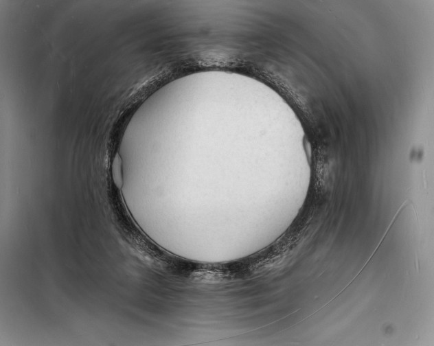 X0000098230211200805151349