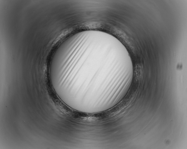 X0000098230212200805151349