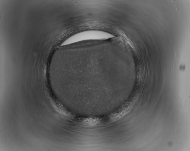 X0000098230213200805151349