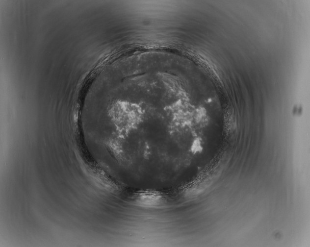 X0000098230214200805151349