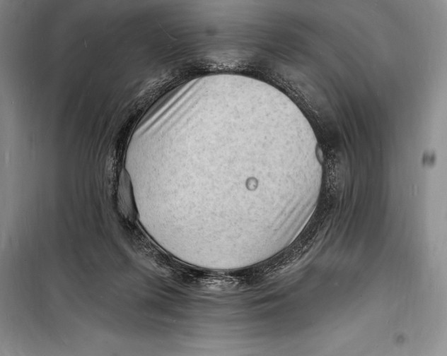 X0000098230215200805151349