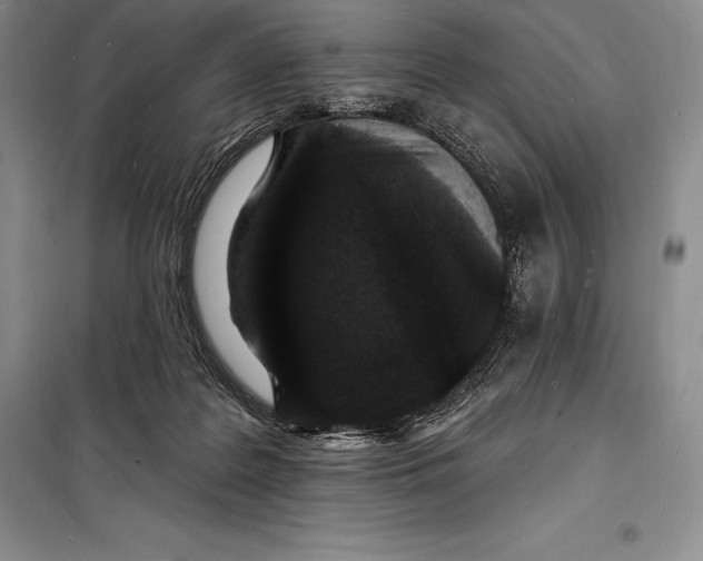 X0000098230219200805151349