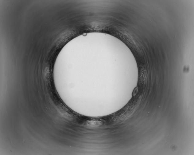 X0000098230220200805151349