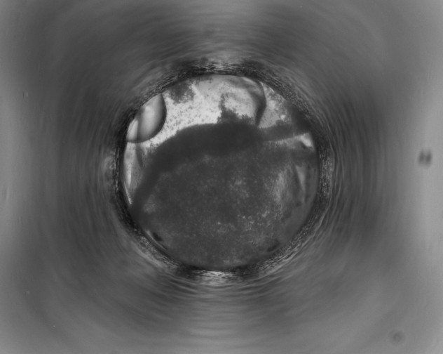 X0000098230222200805151349