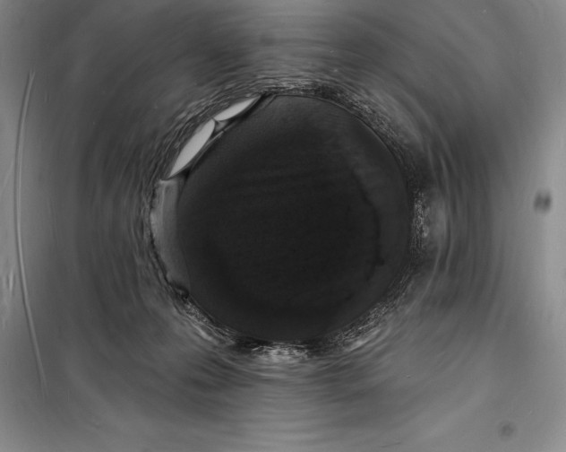 X0000098230223200805151349