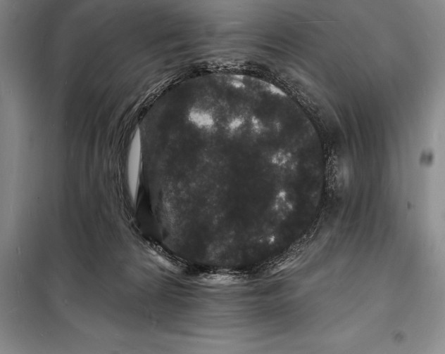 X0000098230224200805151349