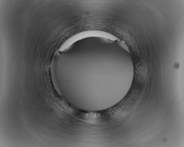 X0000098230225200805151349