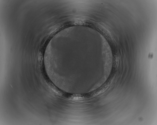 X0000098230228200805151349