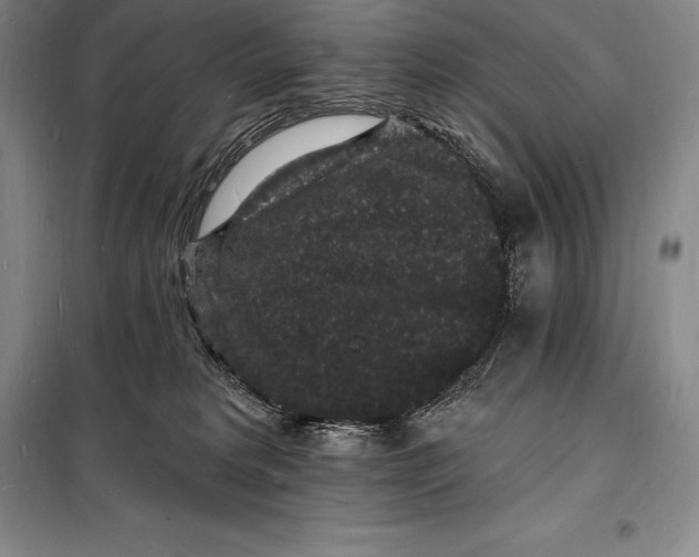 X0000098230229200805151349