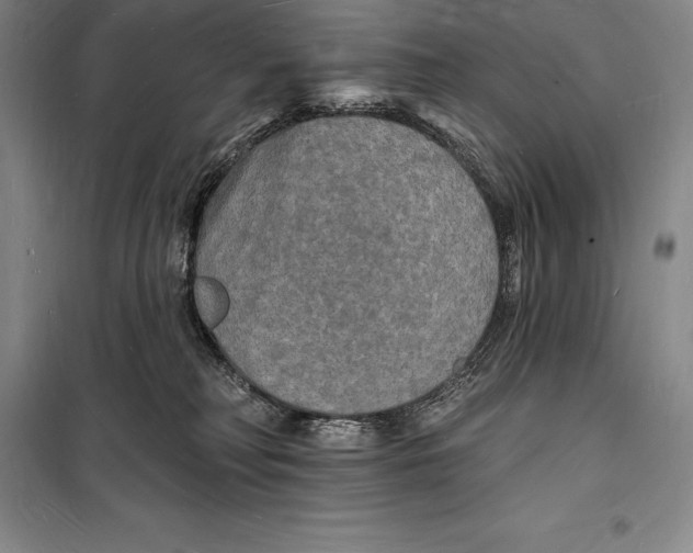 X0000098230230200805151349