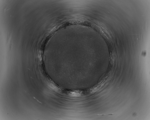 X0000098230232200805151349