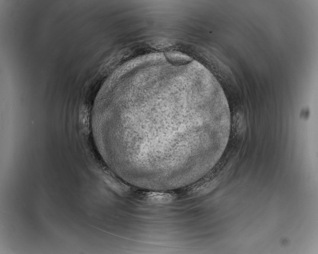 X0000098230234200805151348