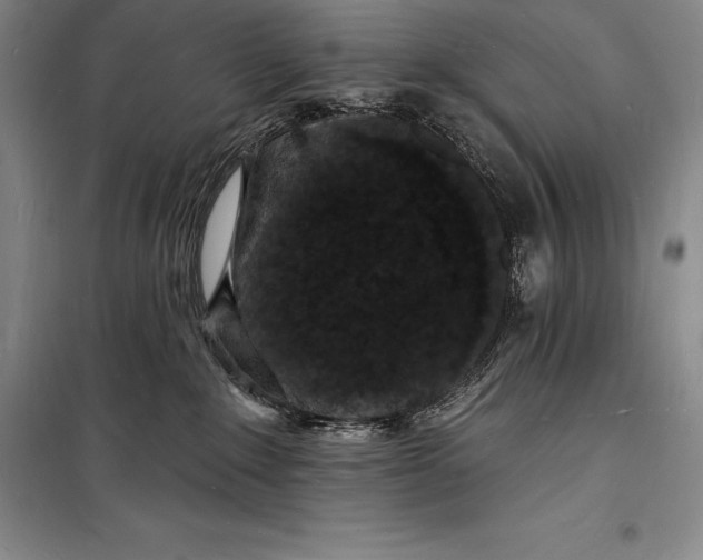 X0000098230235200805151348