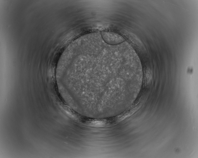 X0000098230236200805151348