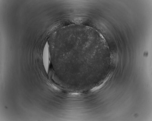 X0000098230237200805151348