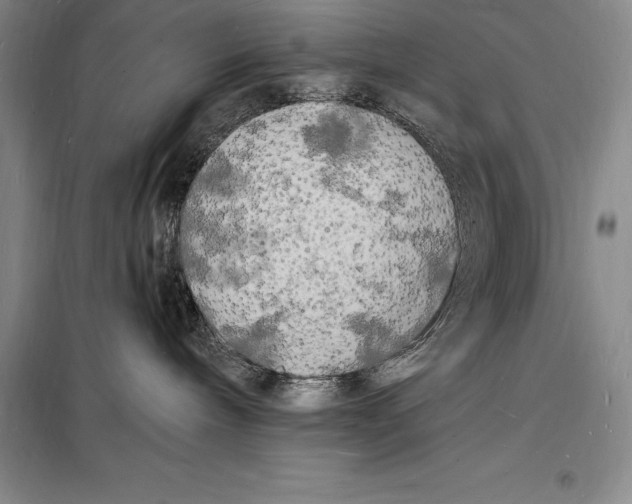 X0000098230240200805151348