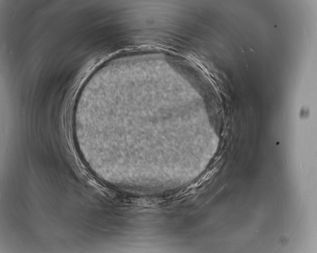 X0000098230241200805151348