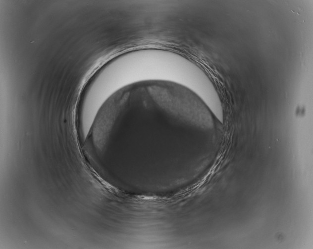 X0000098230244200805151348