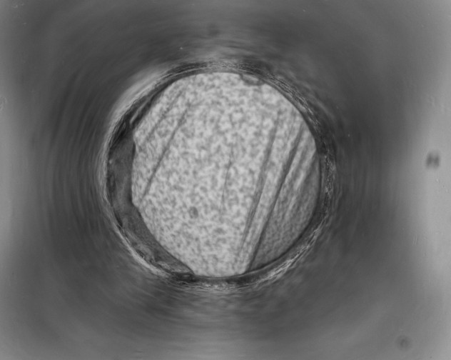 X0000098230245200805151348