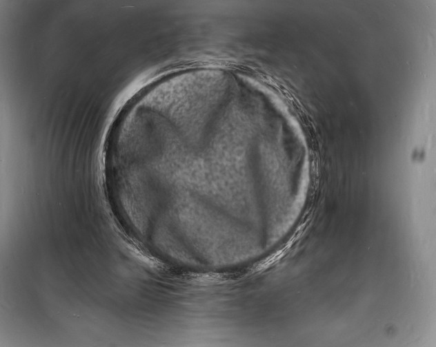 X0000098230246200805151348